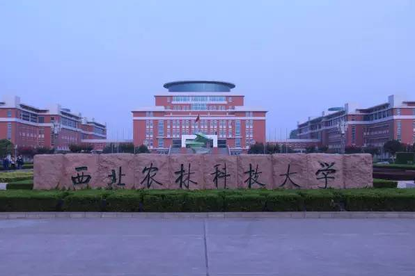西北农林科技大学毕业证(西北农林科技大学毕业证和学位证)