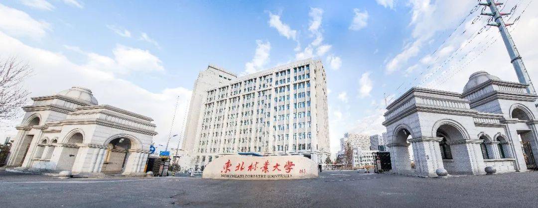 东北林业大学官网