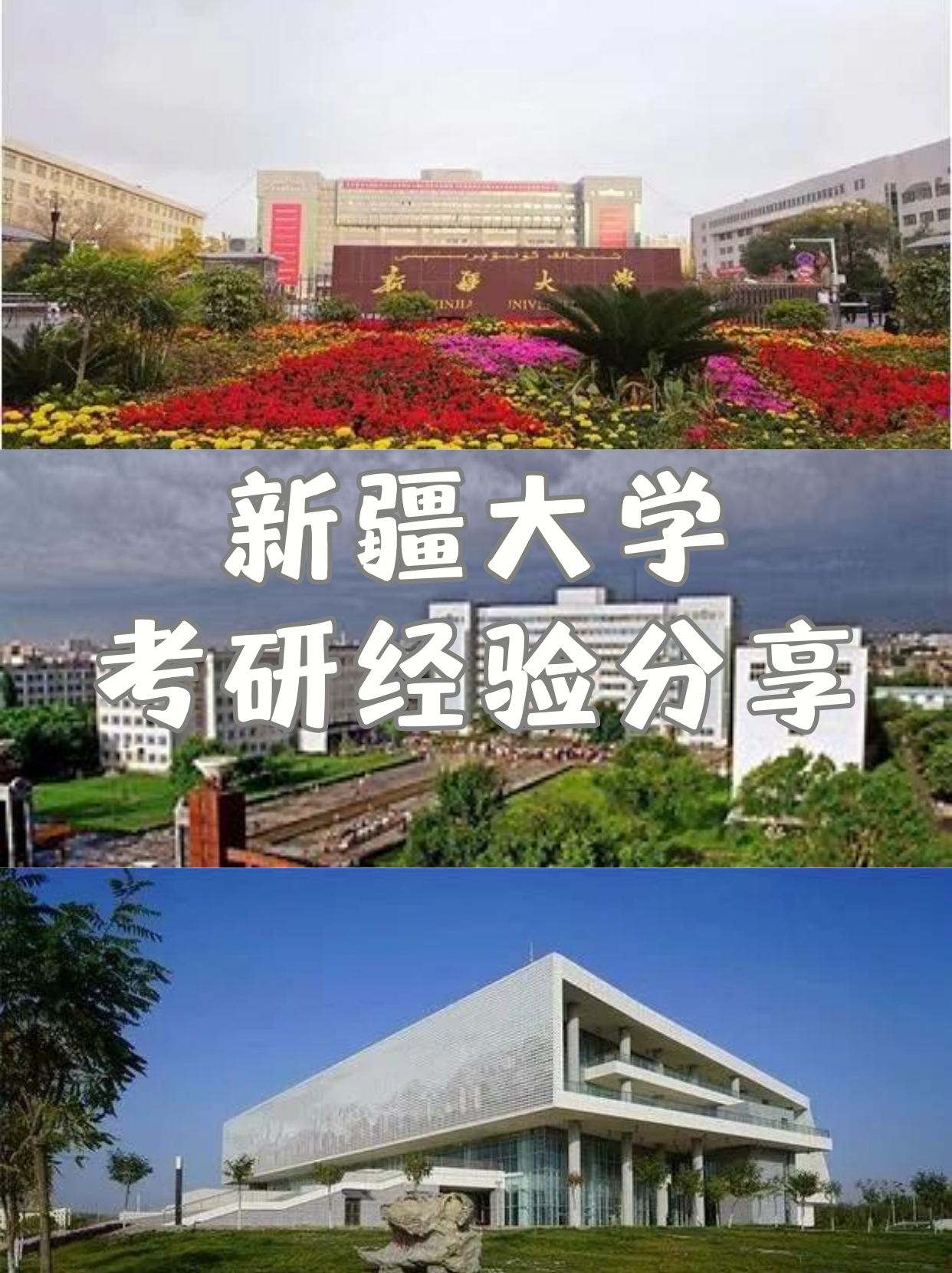 新疆大学研究生招生专业目录