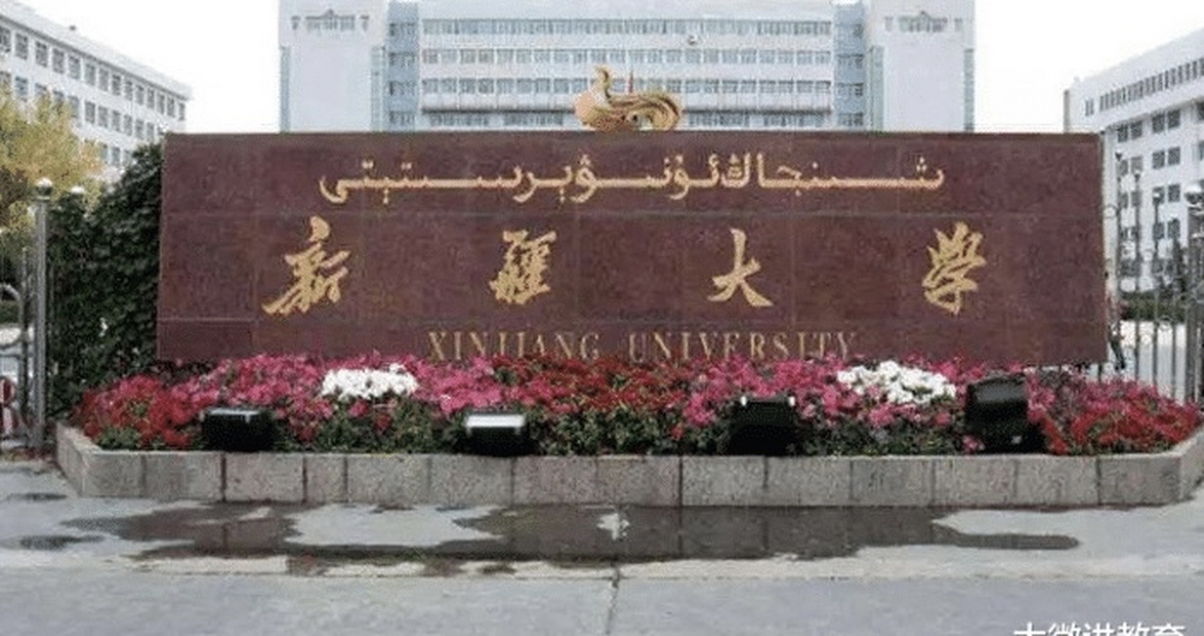 新疆大学研究生招生专业目录