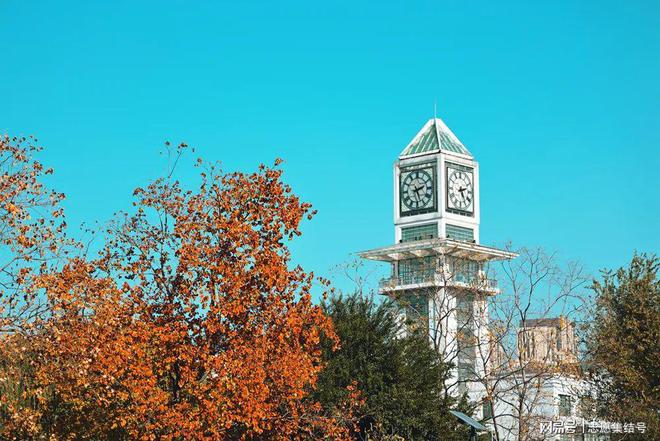 中南财经政法大学怎么样