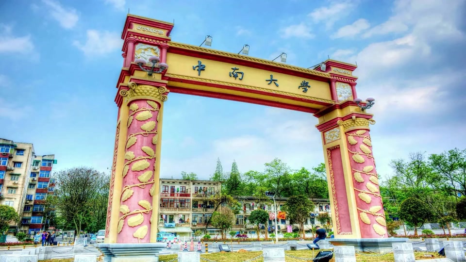 中南大学王牌专业